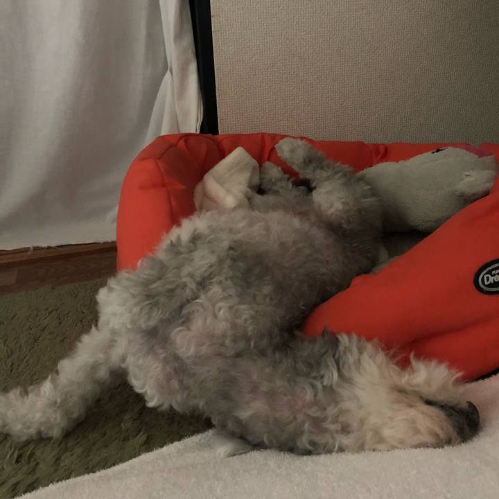 E89e9064 7a1c 4cf5 ba96 1870bdf8b62a 1531613958314