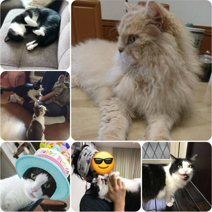 E89e9a14 e2a6 4a7c 952e cdbc60bbd263 1566465539624