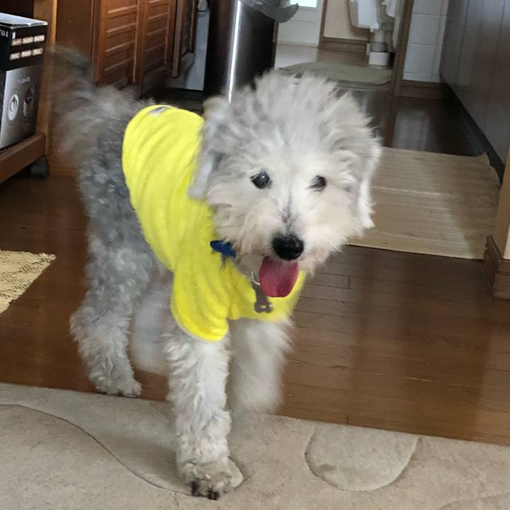 E89ea7bf 1895 4272 9526 9033186eab70 1657497403155