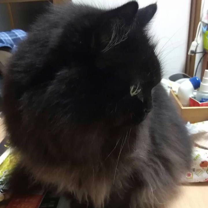 E89efdd5 2bfc 478b 8328 22395f99dc9c 1545569470820