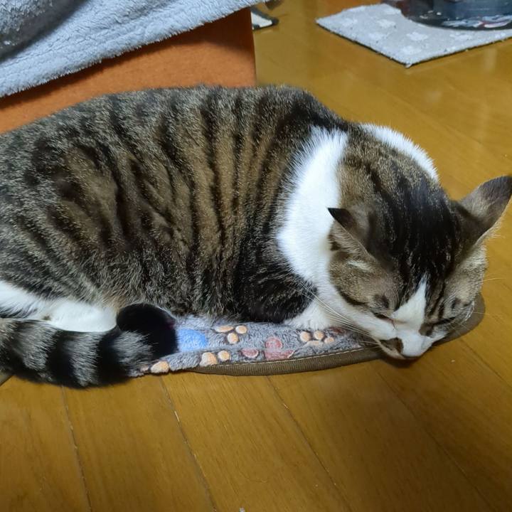 E89f5383 1eba 4343 93ce 709575a31763 1671923167203