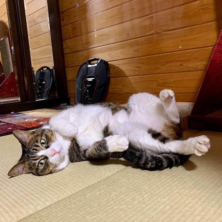 E89f77c5 367d 460f 878b b7319776be37 1598875228332