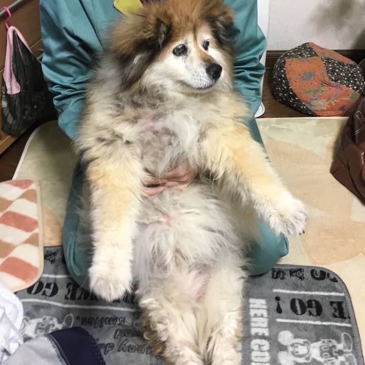 E89f7b37 427f 4379 8cbf 347529a1b51e 1550039463936