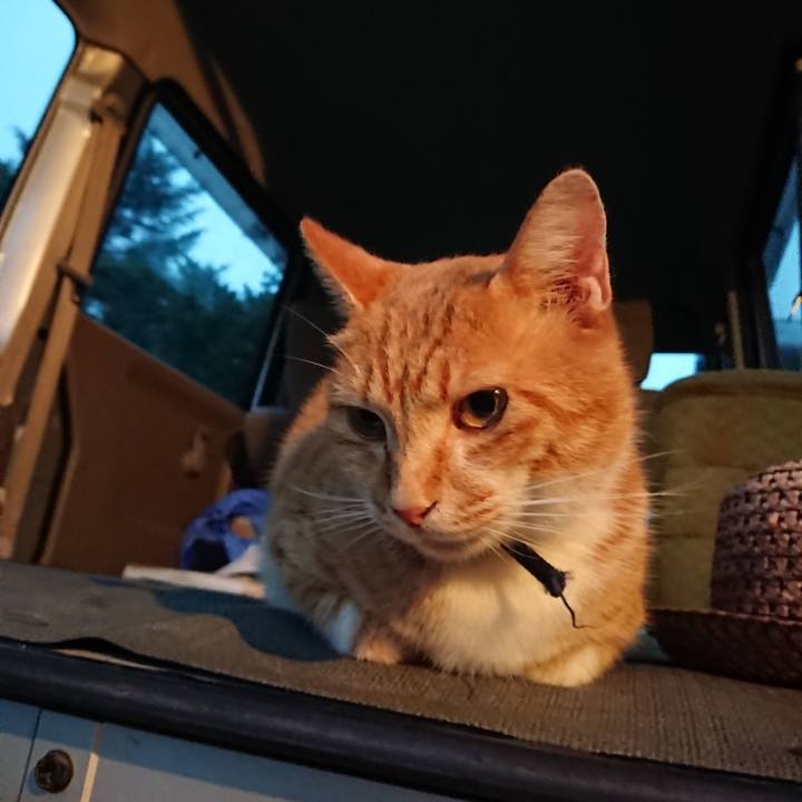 E89f9d23 addc 458a 84cd 96fed1f63c01 1599728686866