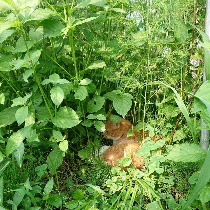 E89fb24d 7126 4908 bba0 f204fdc6c6bd 1596609675268