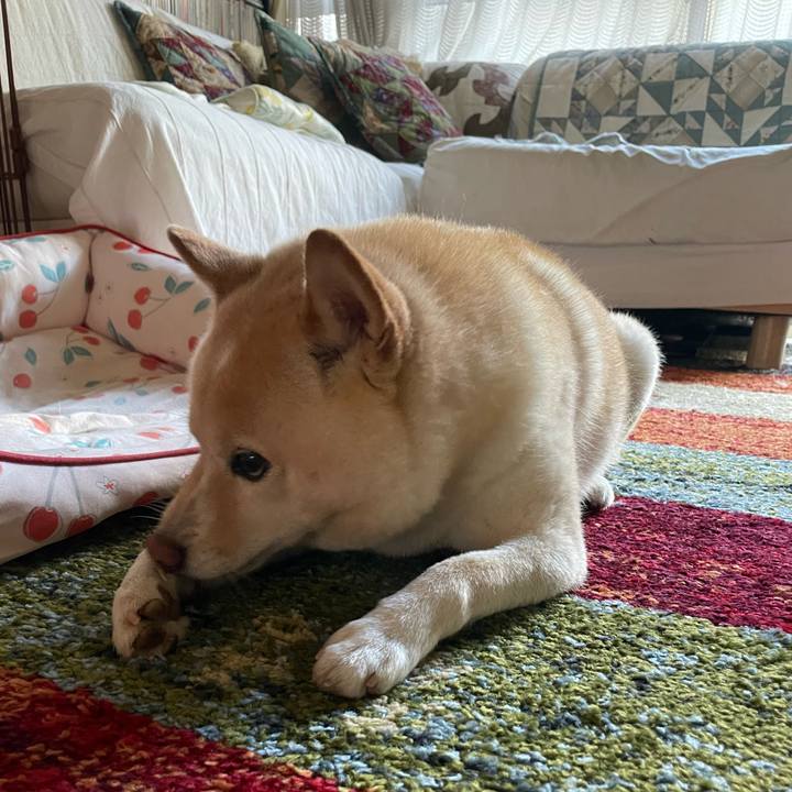 E89fb43e e1cf 46fd be3f f5e9ac94e8d3 1724629673787