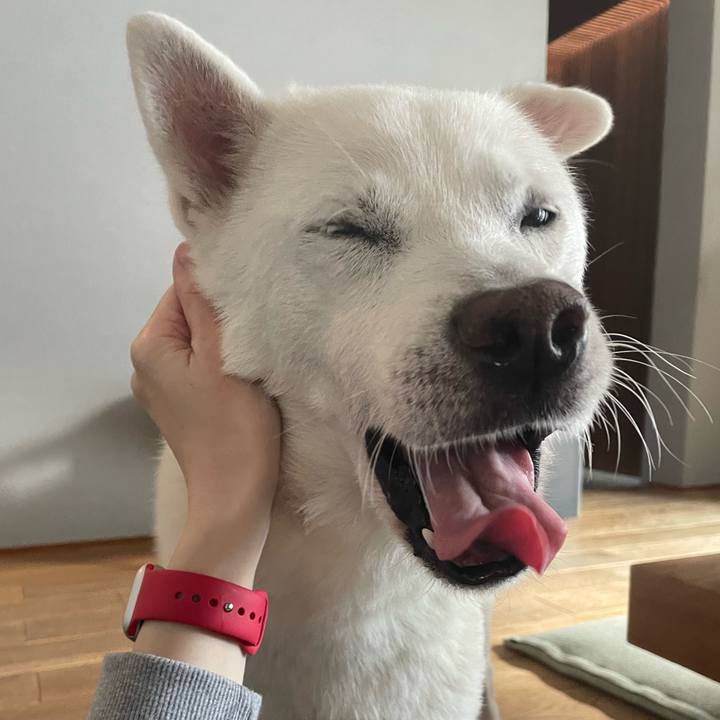 E89fbf72 1732 478c 9e73 9eaca17ee668 1737111880516