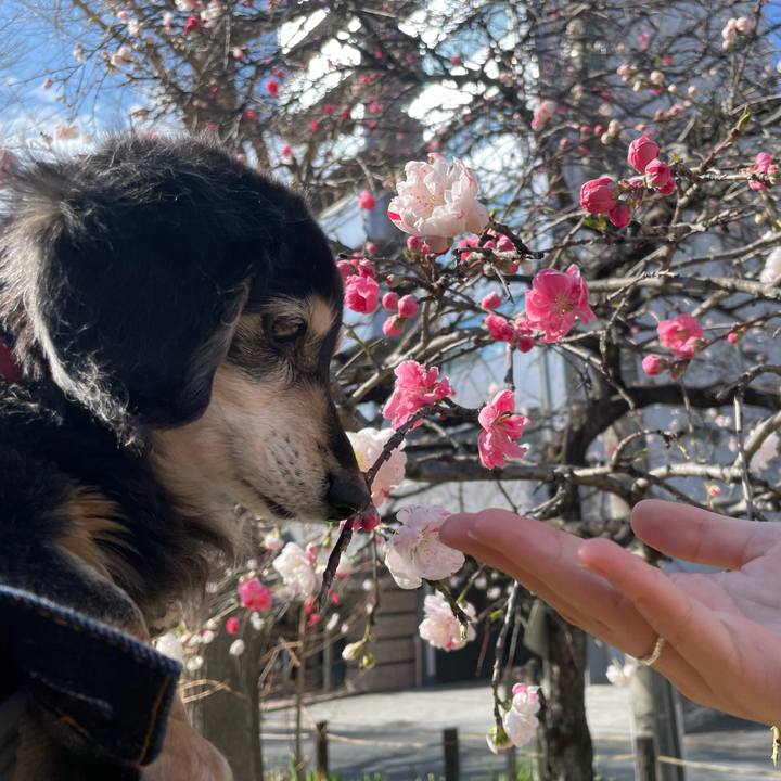 E89fcd9c 673c 4304 a3ec 4009fa6d683a 1774271239406