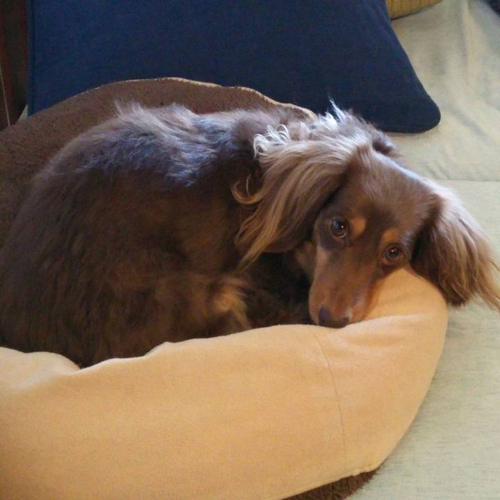 E89fd21f e5b9 45c8 82db a631238ced2a 1516933823147