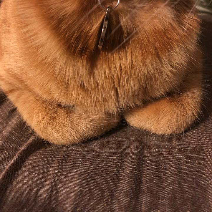 E89fdfd0 15f6 4fb3 a18b ecfcb8140c2a 1637581444578