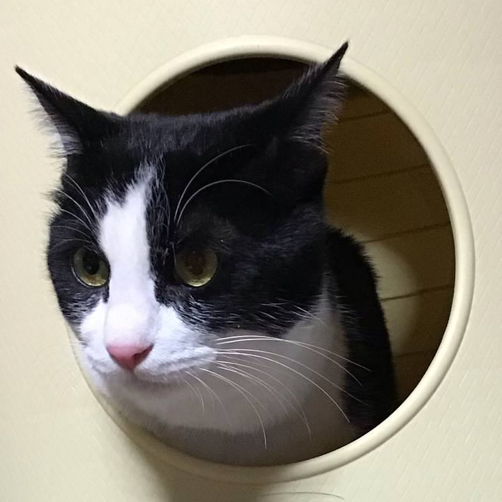 E8a006a0 cfa4 4ff5 9063 35f5b7b7fd14 1675256637782