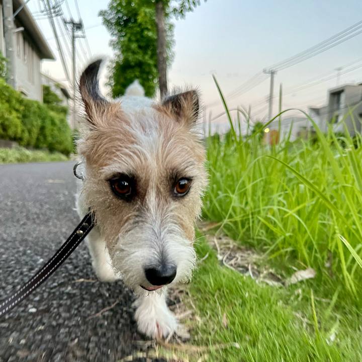 E8a00e06 0e73 4945 850c 8f54dc211238 1722684243043