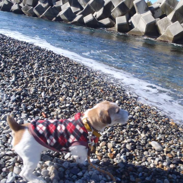 E8a0154a 4383 45df bc35 9d59807386f1 1512204562785