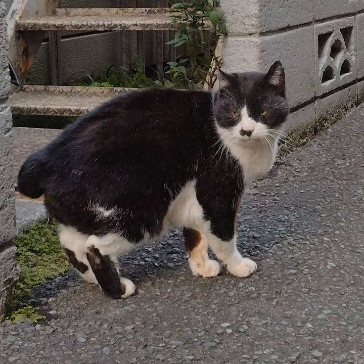 E8a0c464 1568 43c1 859d f1ea08dec262 1707637212828