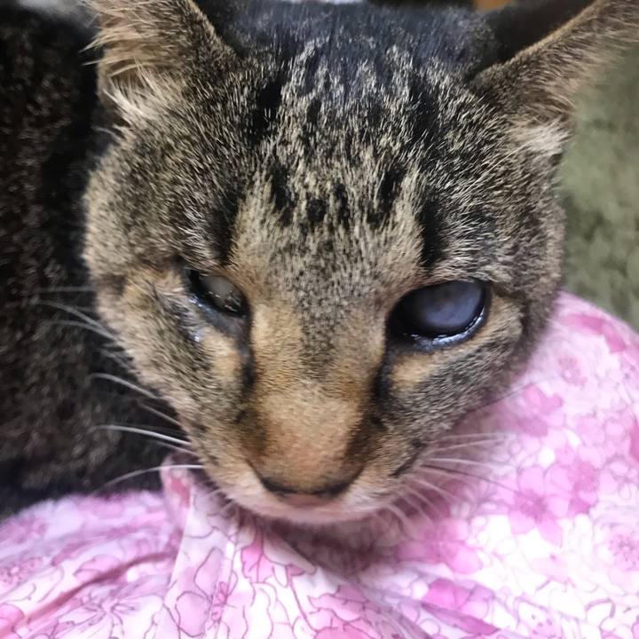 E8a0c9fc e458 4f14 97fe 510177e89b33 1608803119776