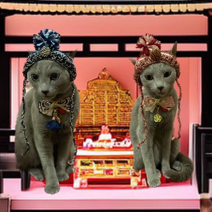 E8a0cbbd f3bc 4462 85a8 2752b0ff36bc 1709430197540