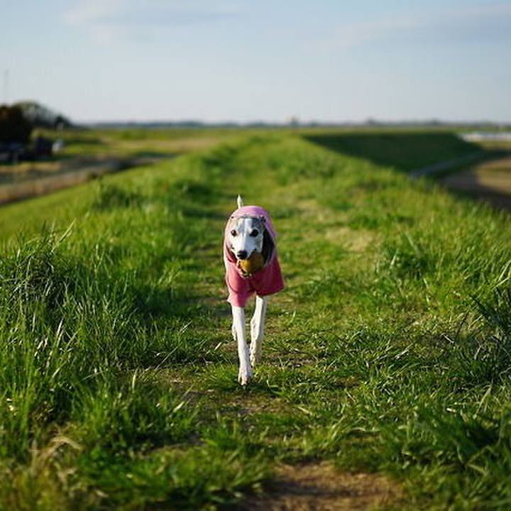 E8a0e05e 8861 4a85 835e 222a452cadec 1524737504180