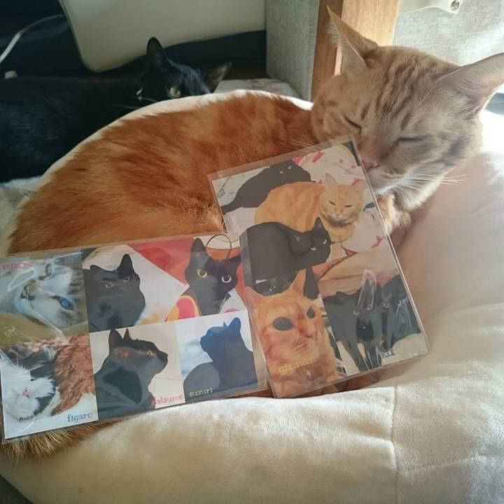 E8a0e1f8 55cf 4c54 85f9 d009fb92eb8a 1514173159524