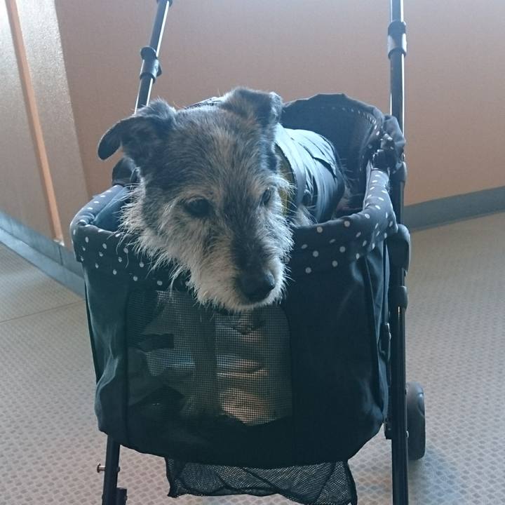 E8a100ce e13c 4a2b 9e05 08bee7434ffc 1549809725319