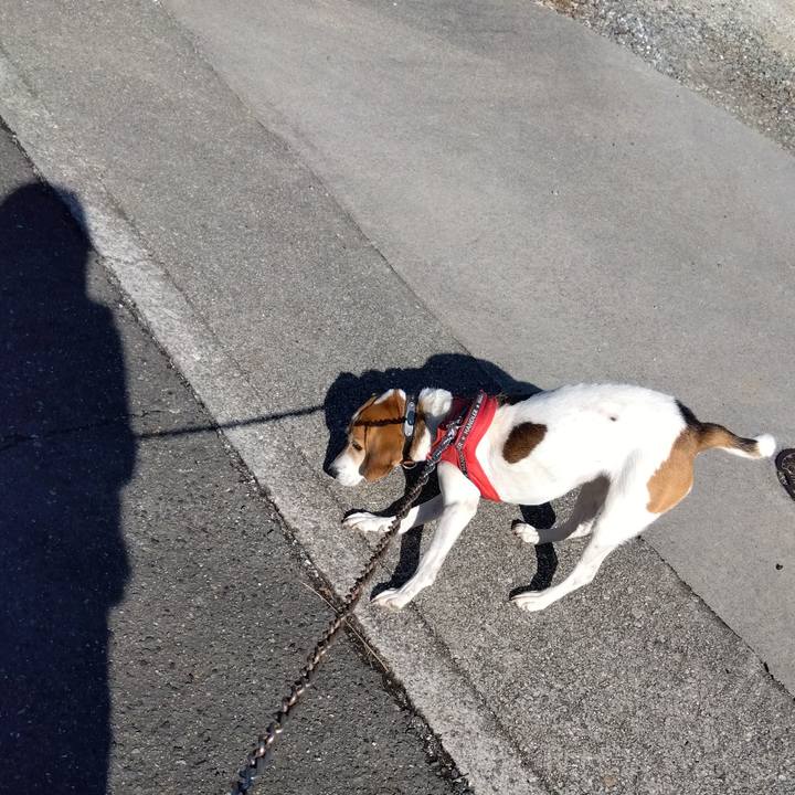 E8a13132 557c 4937 99ac 174d56c5dc43 1704424963080