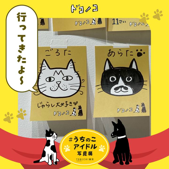 E8a18b4e 1c08 4964 8947 66f094b22a0f 1762163596182