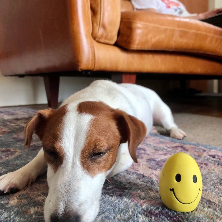 E8a1b1f8 377d 47ab 8ae0 09c5c95efece 1625985495248