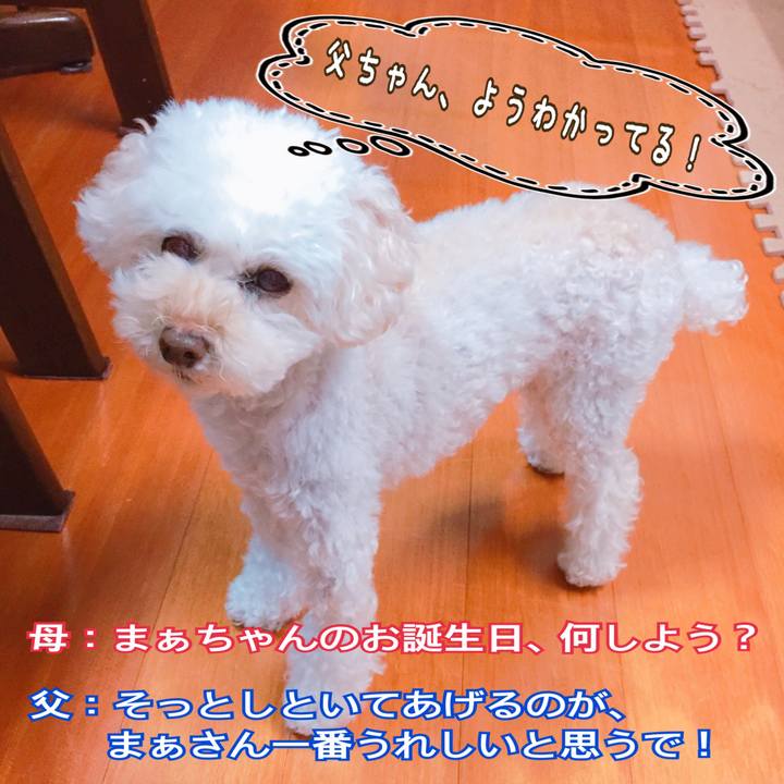 E8a1bcd0 0397 4cf5 97bf cda37fd78f3e 1508472459976