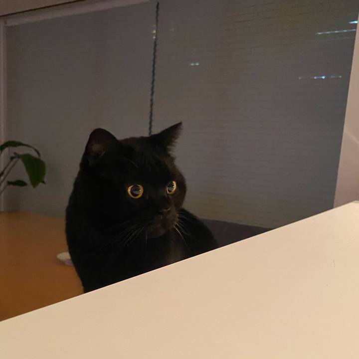 E8a21b80 0c3f 4d38 9a60 2f475403306a 1731764210904