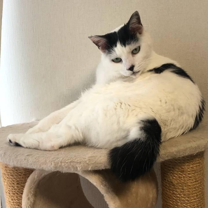 E8a27b94 7faf 4ce7 b81b 3ffc883d15ec 1574638567545