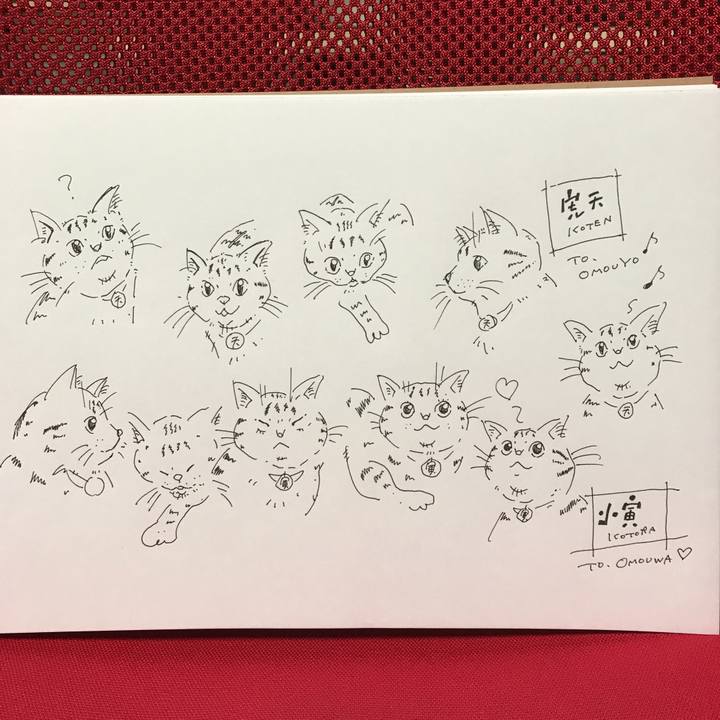 E8a2aa11 97e8 4bf5 ad77 ac98ab01e242 1575131725910