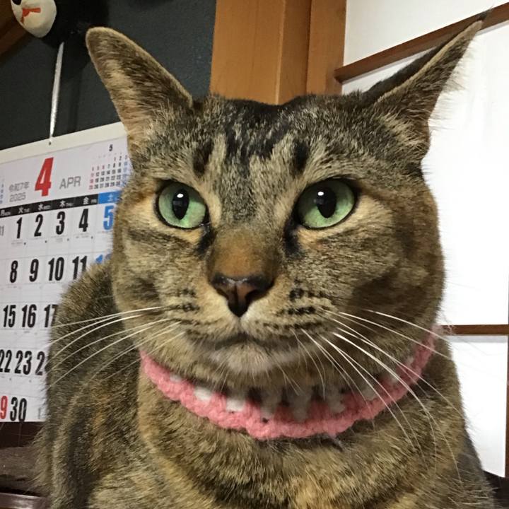 E8a2e443 7372 4d72 9fc8 54957c6a168f 1745225736642