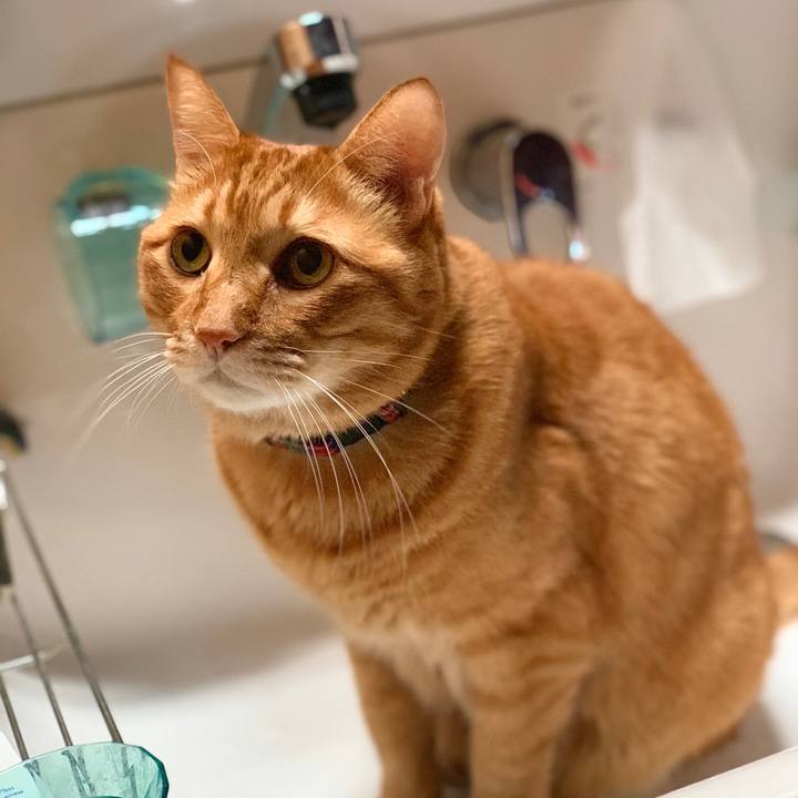 E8a31109 d7d6 4b7e 88ea c544103cdf6f 1574291234360