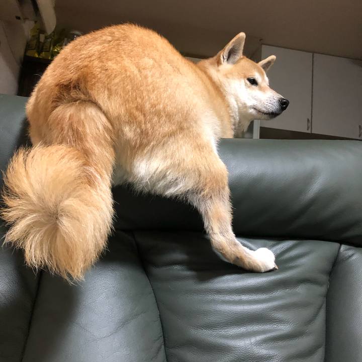 E8a332b7 ad75 4d7a bca4 1c1fe93bf7ba 1577180788925