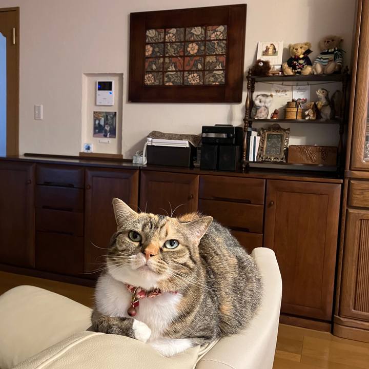 E8a34f57 b4cc 43de 80b9 bc12313e2f5a 1769124451089