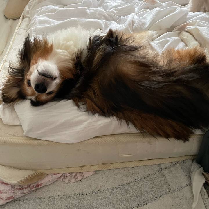 E8a3566d 044b 409a 8725 bd61b32a84ab 1641284374653