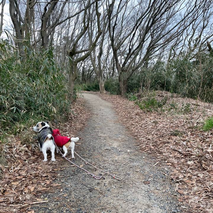 E8a36c4d 588e 420e 9b45 e439415c98a6 1647130418586