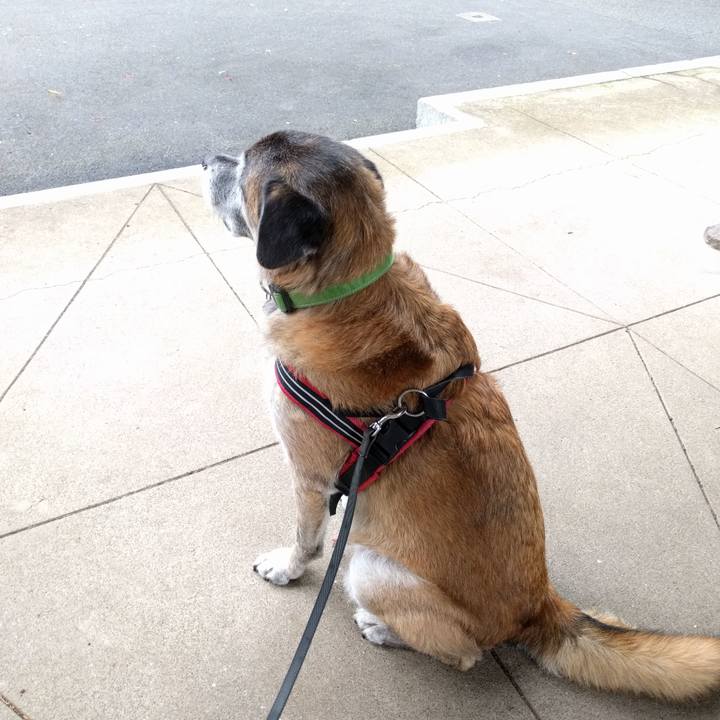 E8a37e67 251e 4983 87ae 80a895fceddf 1535929086355