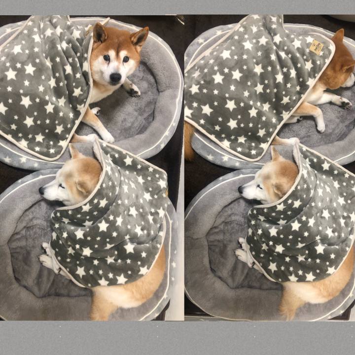 E8a39ed3 ba08 49df bee7 dd2c86a7a742 1580274691023