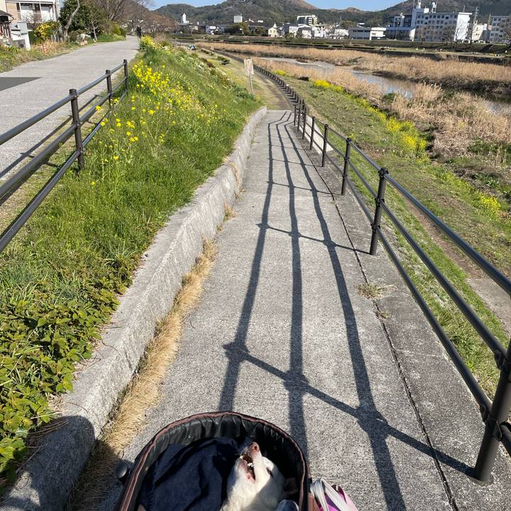 E8a3a7e3 58b2 4af9 93a9 812f53dd965d 1678795453986