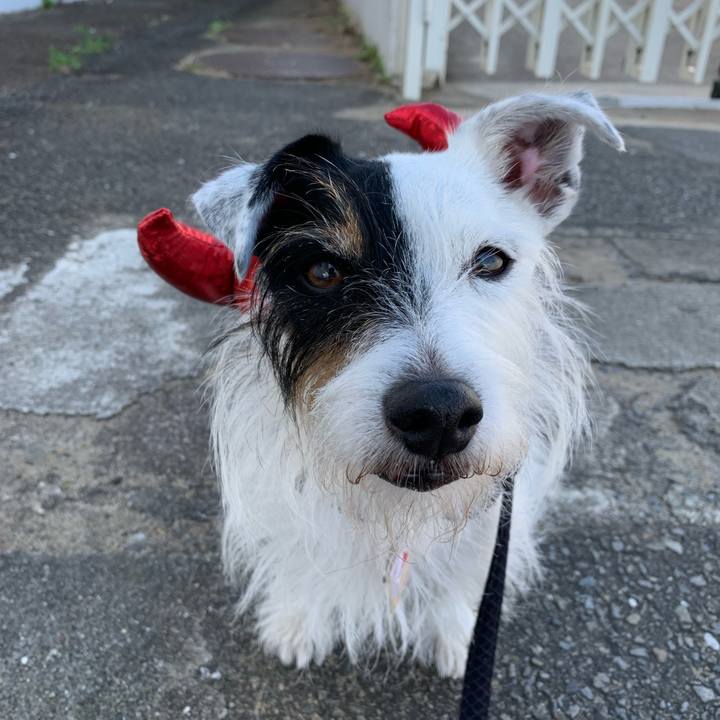 E8a3b16f e4f8 4068 a261 d77719b55ce8 1698458196615