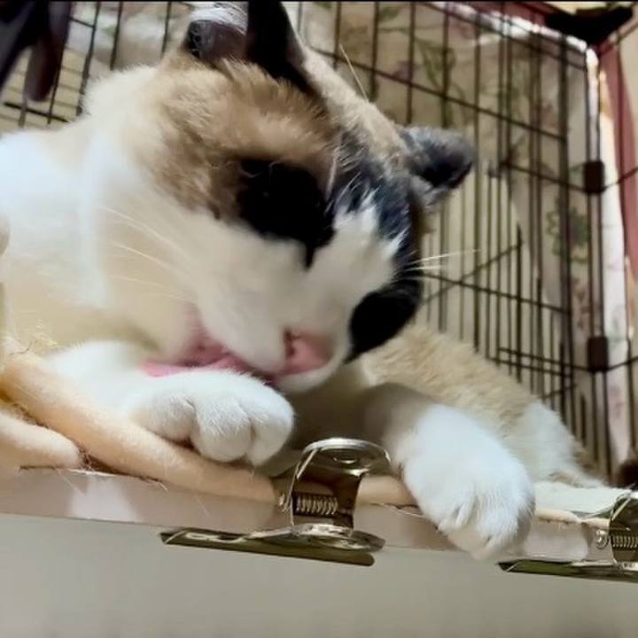 E8a3b630 52bf 4286 b4c5 8414bd6101fc 1747734463200