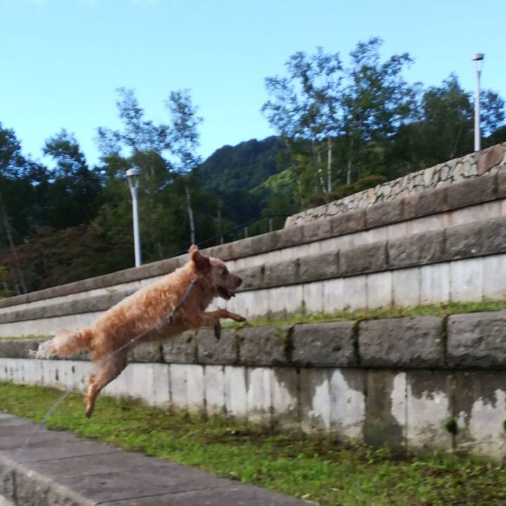 E8a3b757 5140 4844 9fa3 882df482bc36 1535243073374