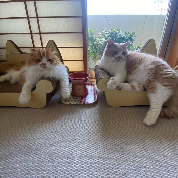 E8a3f1c8 3122 4bfa 882d 11cd8d43bcc7 1665979134440