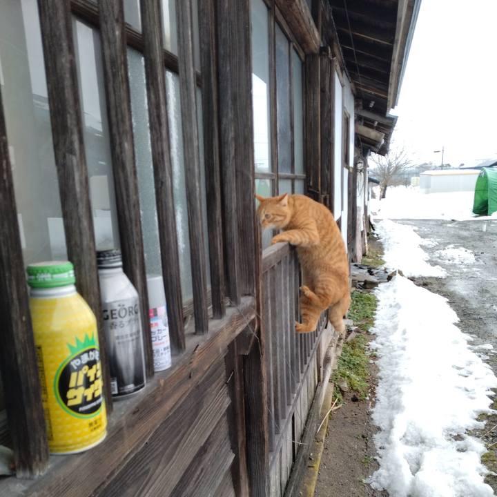 E8a44290 dfe6 4eae 9d76 13762c3ae898 1672450440778