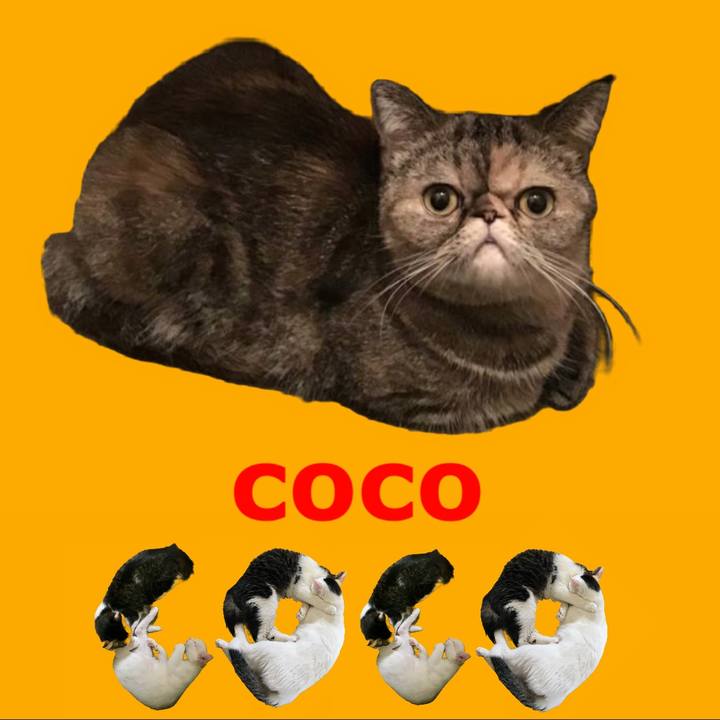 E8a474f7 1477 4faf 9019 3ffb84fd3086 1667470611781