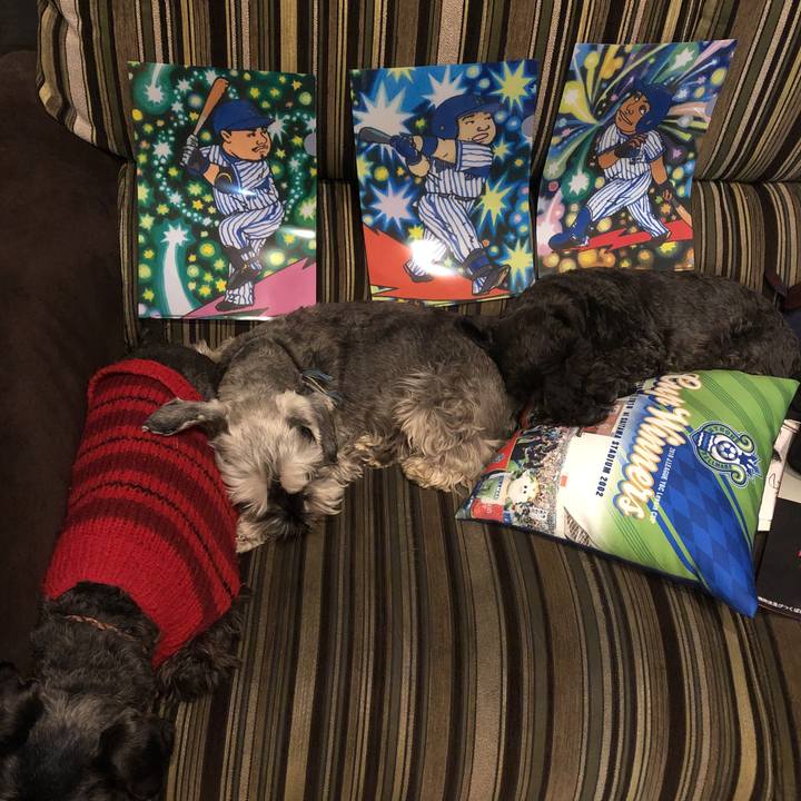 E8a47af0 9dd4 45a9 97d3 4caf284f9c27 1550997587255