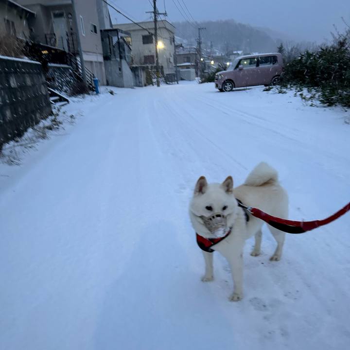 E8a48e98 7fe4 4eab 8683 3a86d52addf1 1702248680927