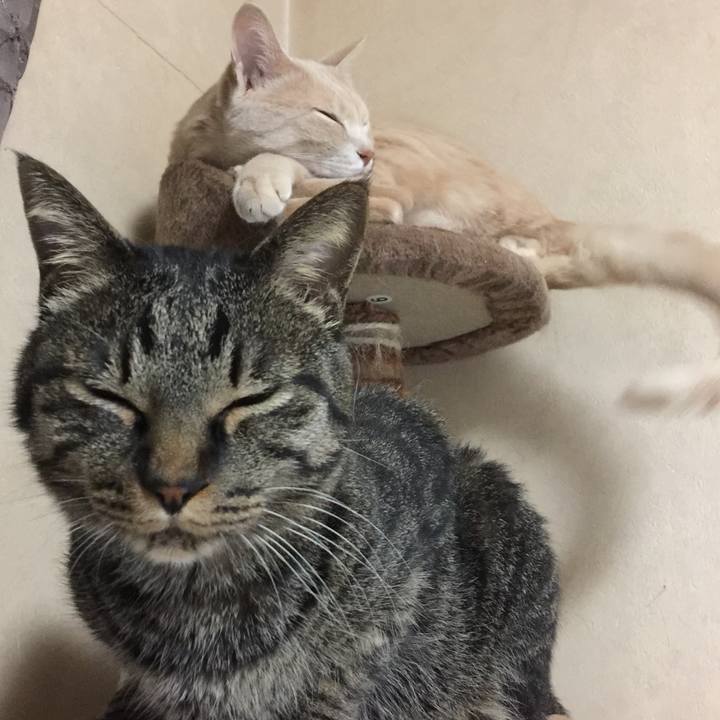 E8a49160 58f3 45cd 8bcb f401fc5f765e 1560335311728