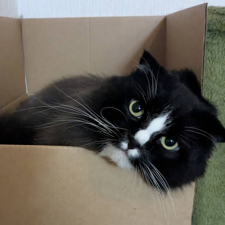 E8a4a008 e1d6 4984 bd98 5ea3866b78a5 1762724663202