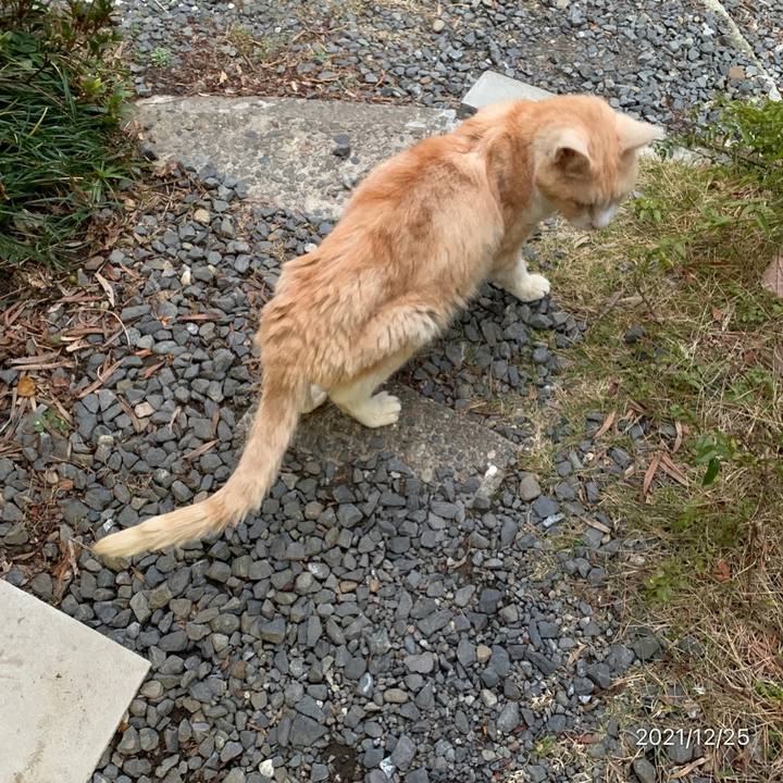 E8a4af7b 27bd 4b4d b034 fc35e3cd7935 1640423293368